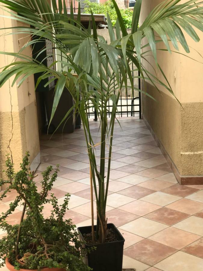 Appartement Garden Carras